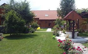 Albinuta Guesthouse